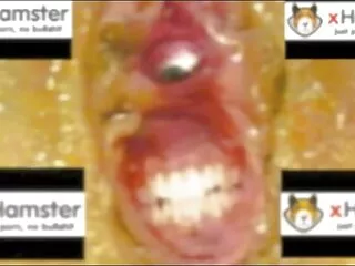 negende amateur seksfilm maand preggo neuken met stiefbroer